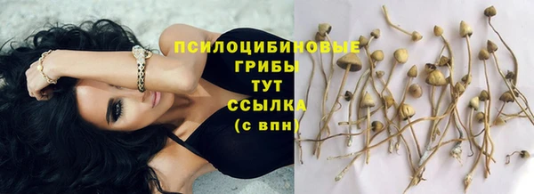 прущий лед Зеленодольск