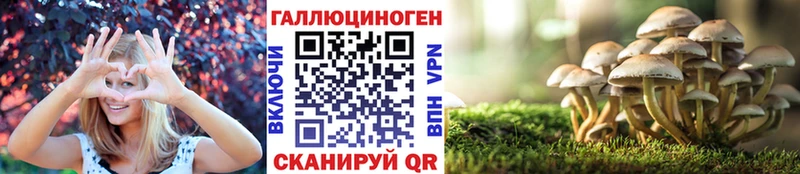 Псилоцибиновые грибы мухоморы  Купить  Гдов 